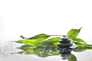 background of a spa with stones, and a sprig of green bamboo